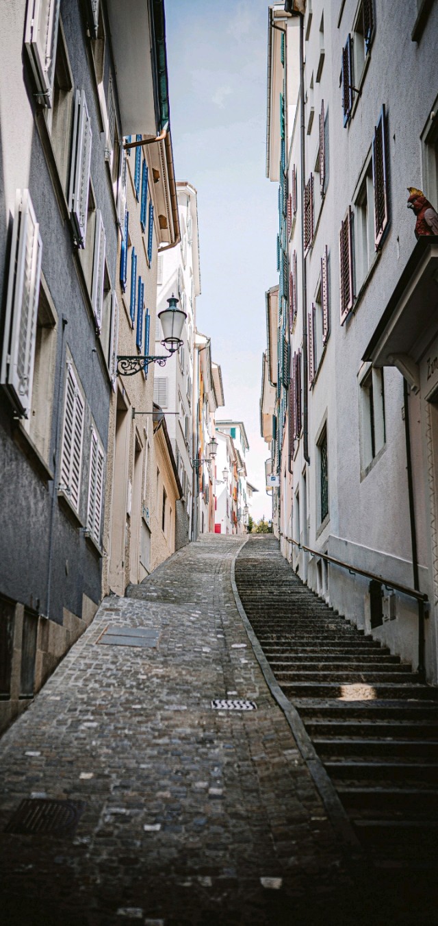 爱丽丝梦游仙境壁纸樱花校园,手机壁纸樱花