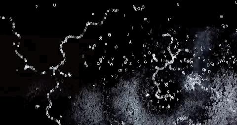 最大的艺术展,中国最大的数字艺术展览