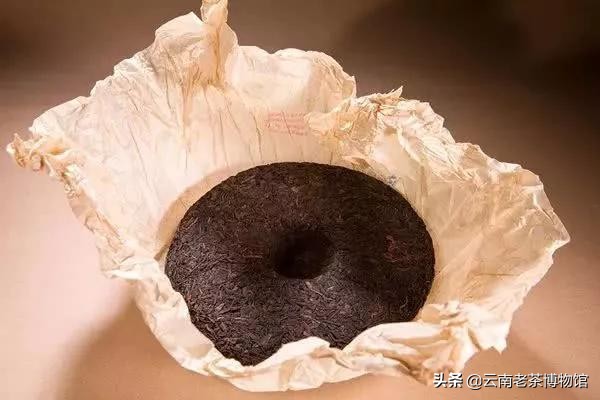 普洱茶饼有虫蛀可以饮吗,普洱茶饼里有茶虫还能吃吗