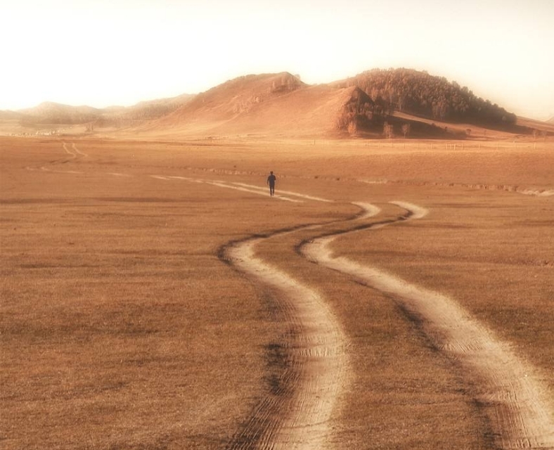 高三高考优秀作文800字5篇,高三优秀作文通用15篇