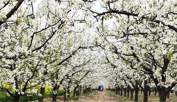 綦江区哪些地方好玩,綦江自然美景在哪里看啊