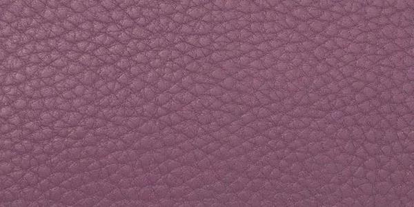 包神日记｜十大最受欢迎的爱马仕Hermès皮革盘点