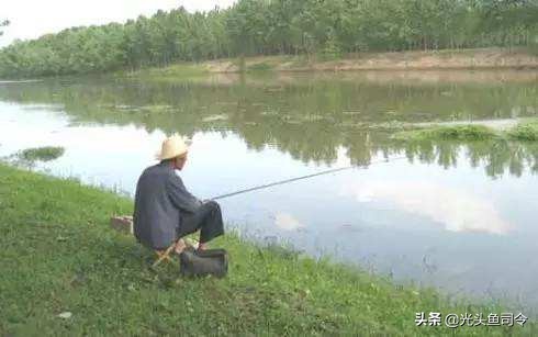 钓鱼会上瘾吗神回复,钓鱼真的会上瘾吗搞笑回复