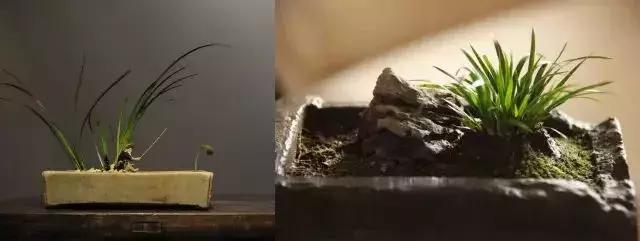 老板茶桌喝茶必备,优雅喝茶篇需要准备什么茶