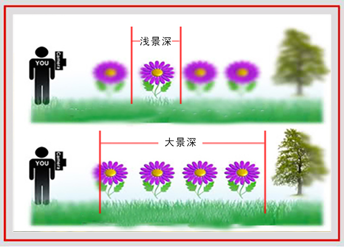 拍摄花卉的景深有哪些方法,如何运用和控制花卉摄影的景深