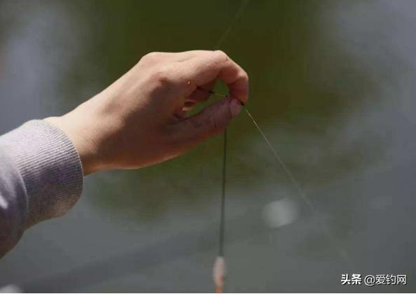 黑坑酱层太厚怎么钓浮鱼,钓黑坑的酱层怎么处理