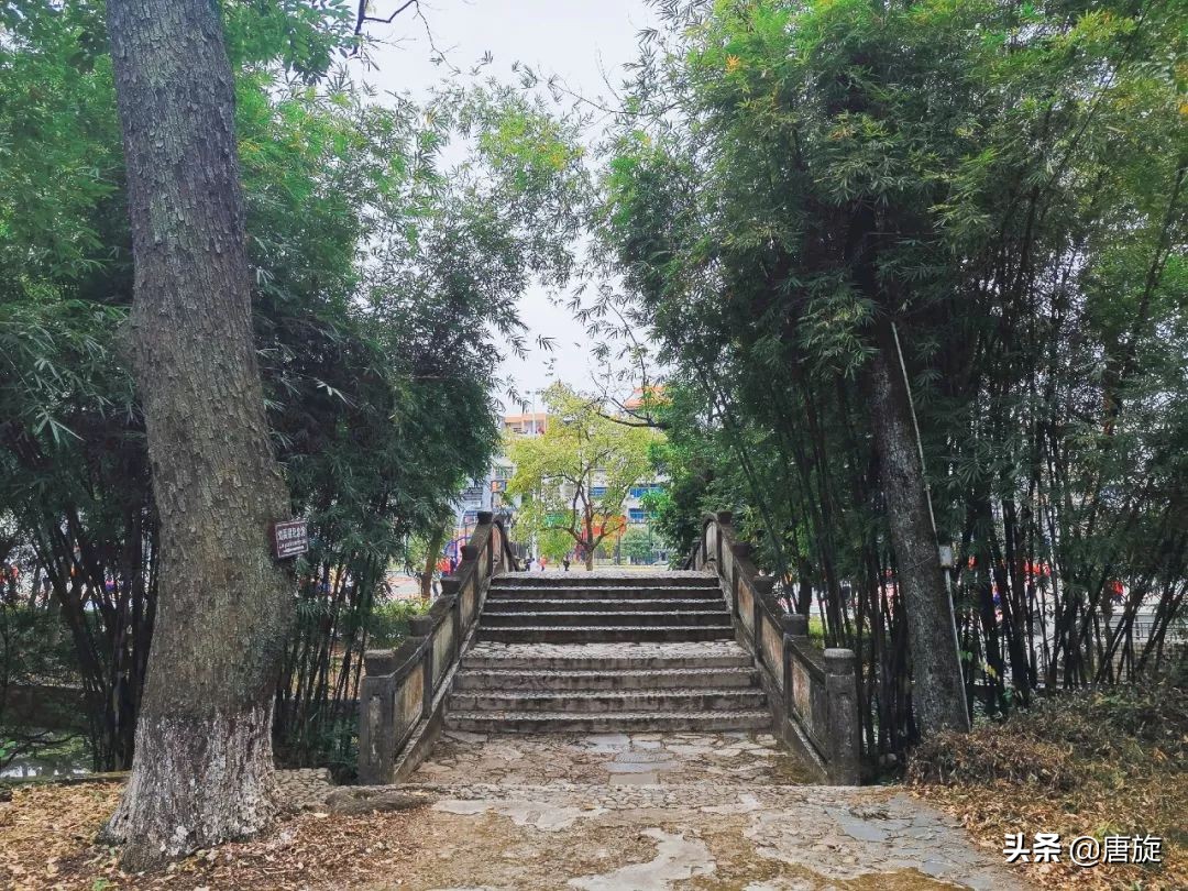 深山里的神秘学校,隐藏在大山深处一所神秘的学校