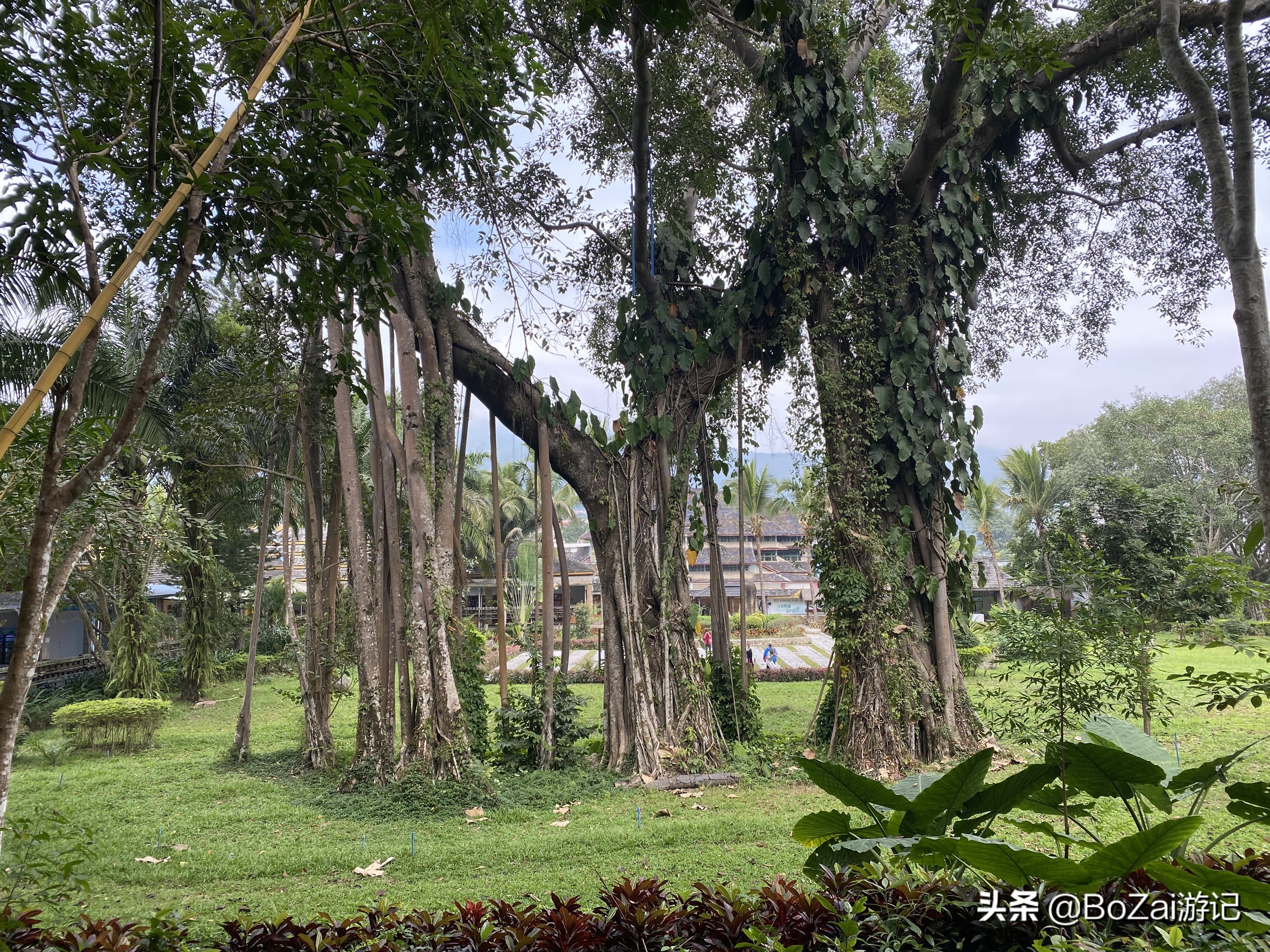 云南西双版纳到文山途经哪些景点,西双版纳适合6-12岁儿童的景点