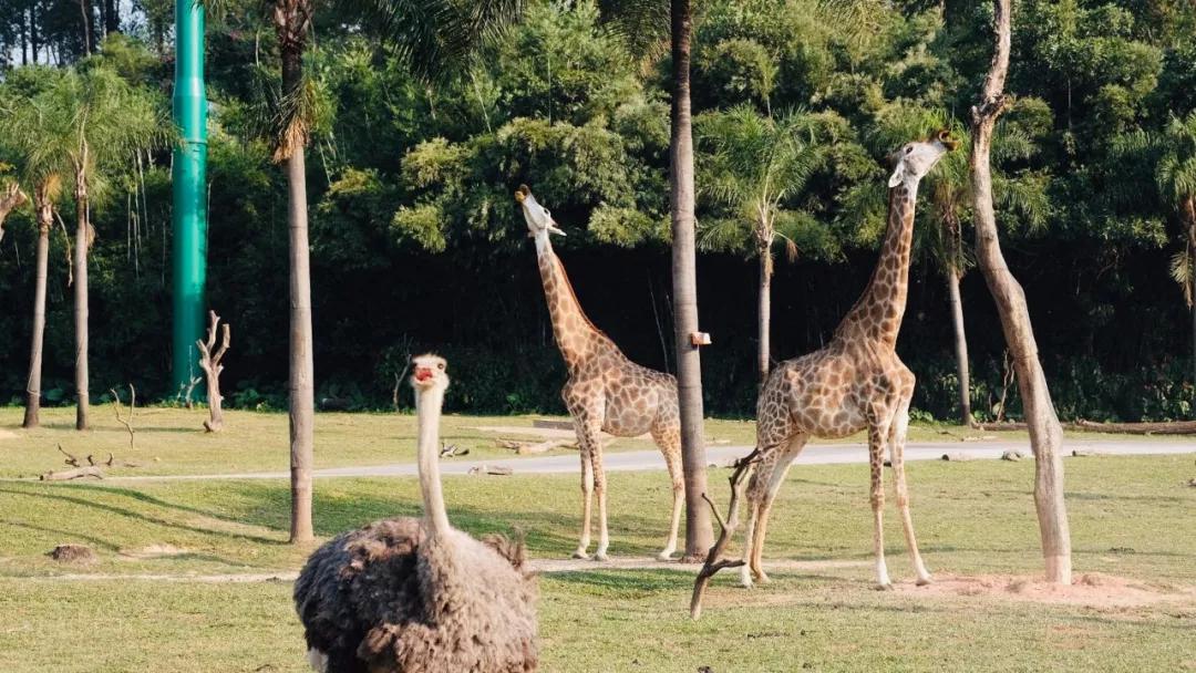 推荐最好玩的乐园,有没有值得玩的地方推荐一下