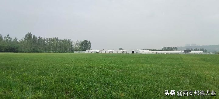 宠物训练学园,宠物训练营学校