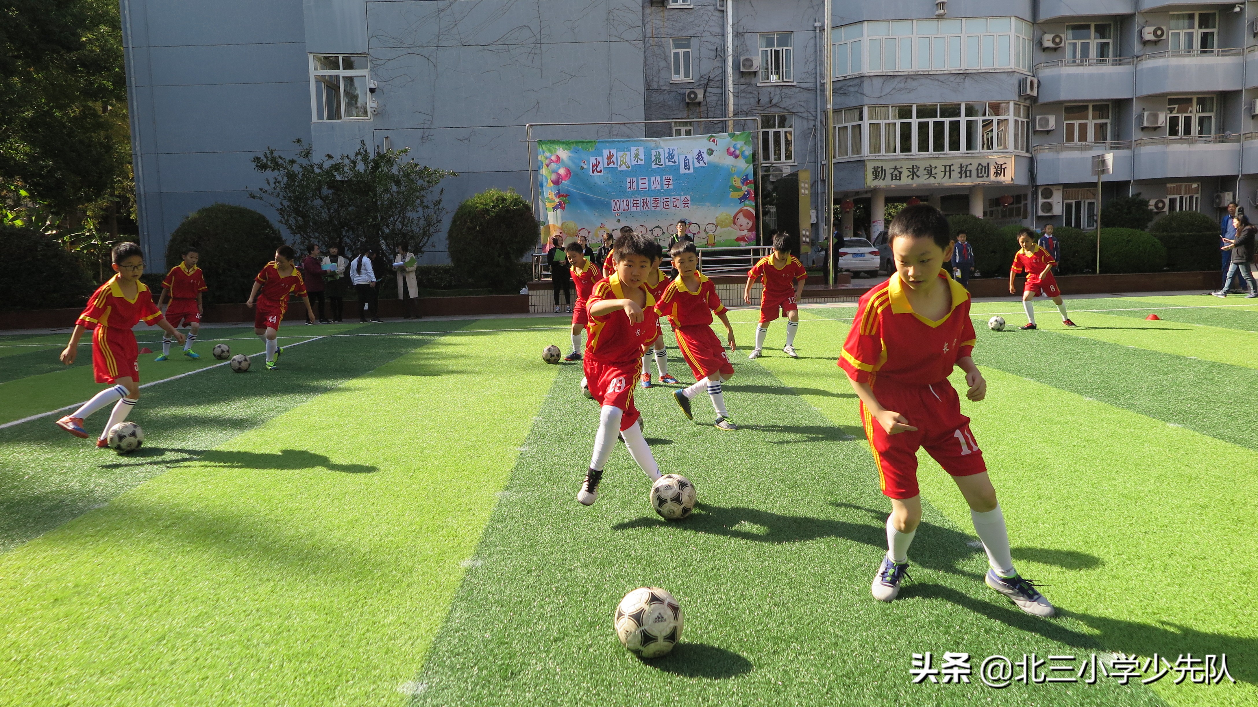 2019秋季运动会活动,2019秋季运动会圆满结束