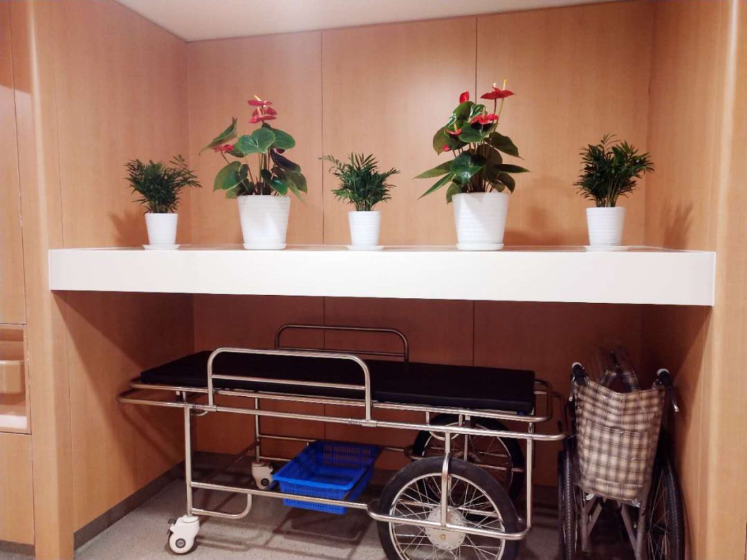 开诊｜汾东院区内分泌代谢中心足病区专家：糖尿病足一定要注意