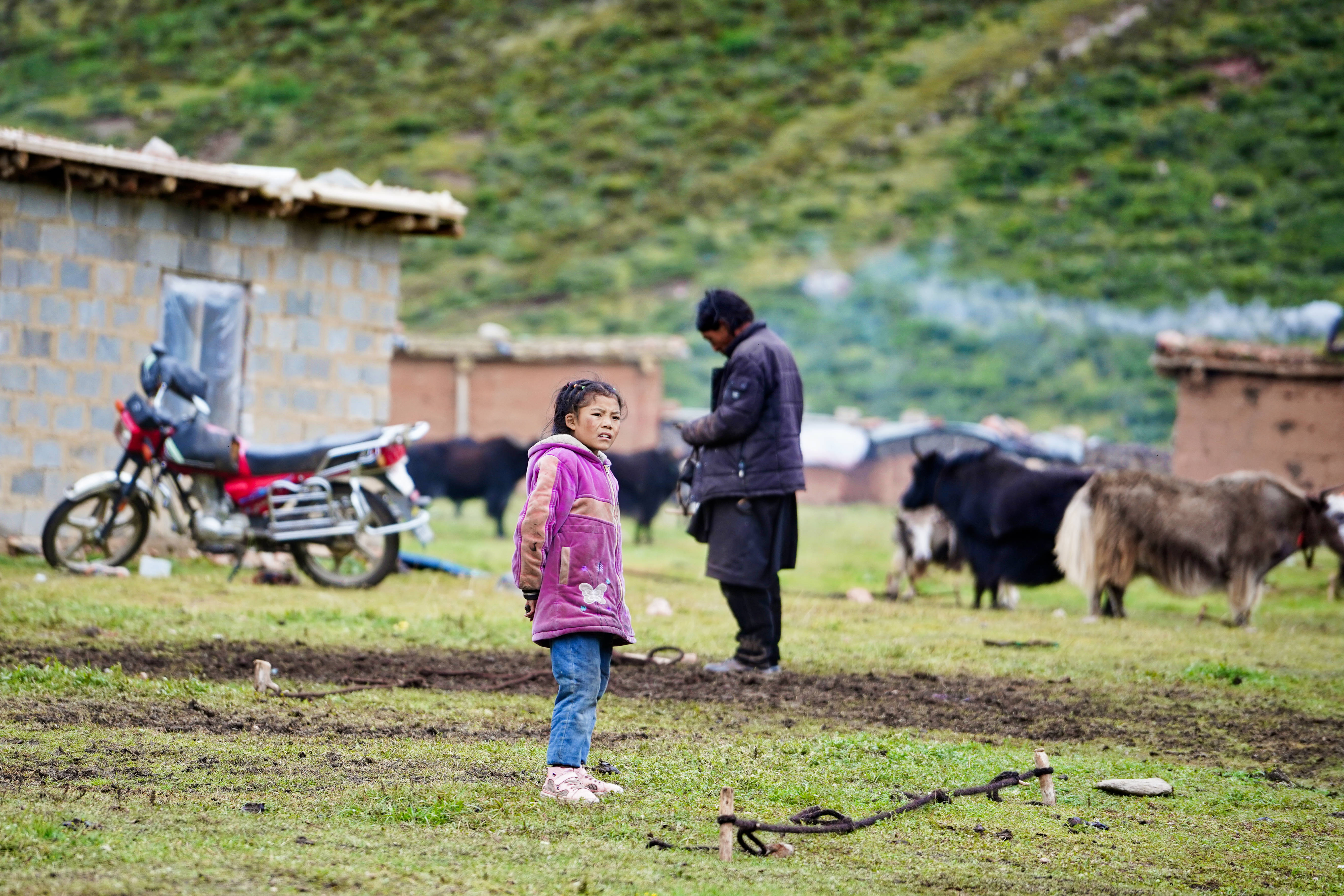 西藏昌都然乌湖美景如画,西藏昌都然乌湖景区美景