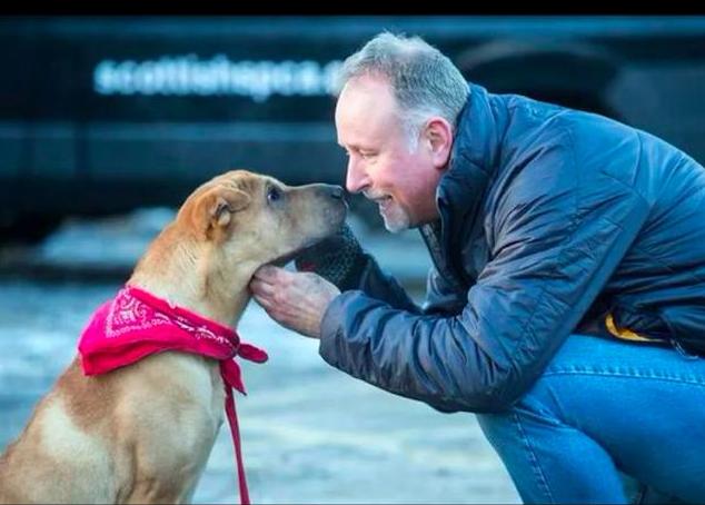 狗狗换新主人多久能适应,狗狗换了主人后会有什么表现