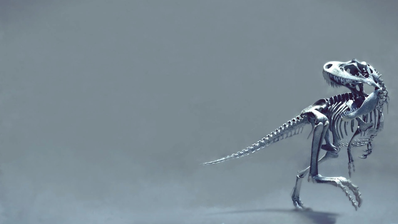 fossil鍜実it瀵规瘮,fossilgit