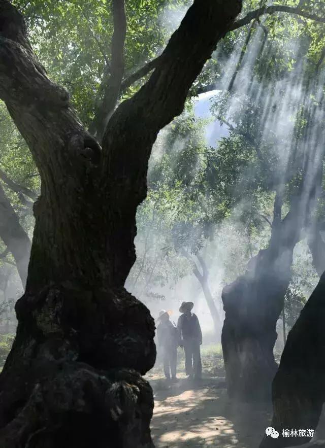 榆林市区网红打卡推荐,榆林网红打卡地晚上