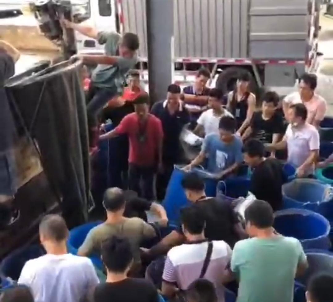 鍦ㄦ繁鍦冲崠楸兼湁澶氬皯鍒╂鼎,娣卞湷鍗栭奔鐨勫競鍦哄湪鍝噷