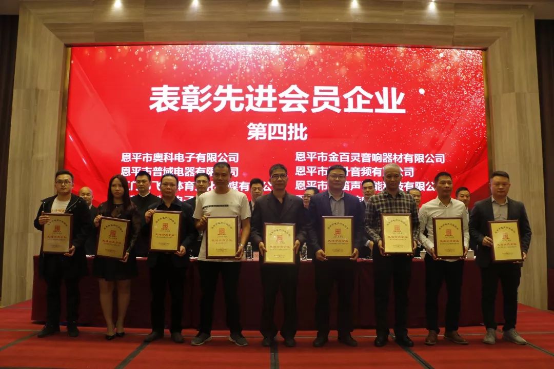 恩平电声行业协会成员,恩平协会