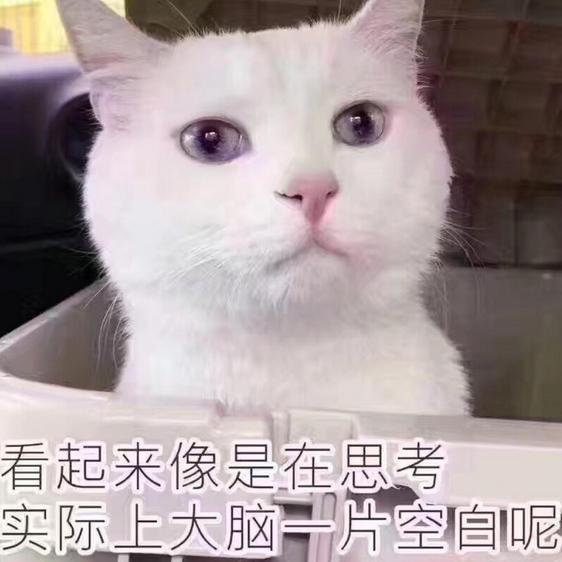 猫咪容易抓坏沙发怎么办,家里猫咪不养了怎么处理