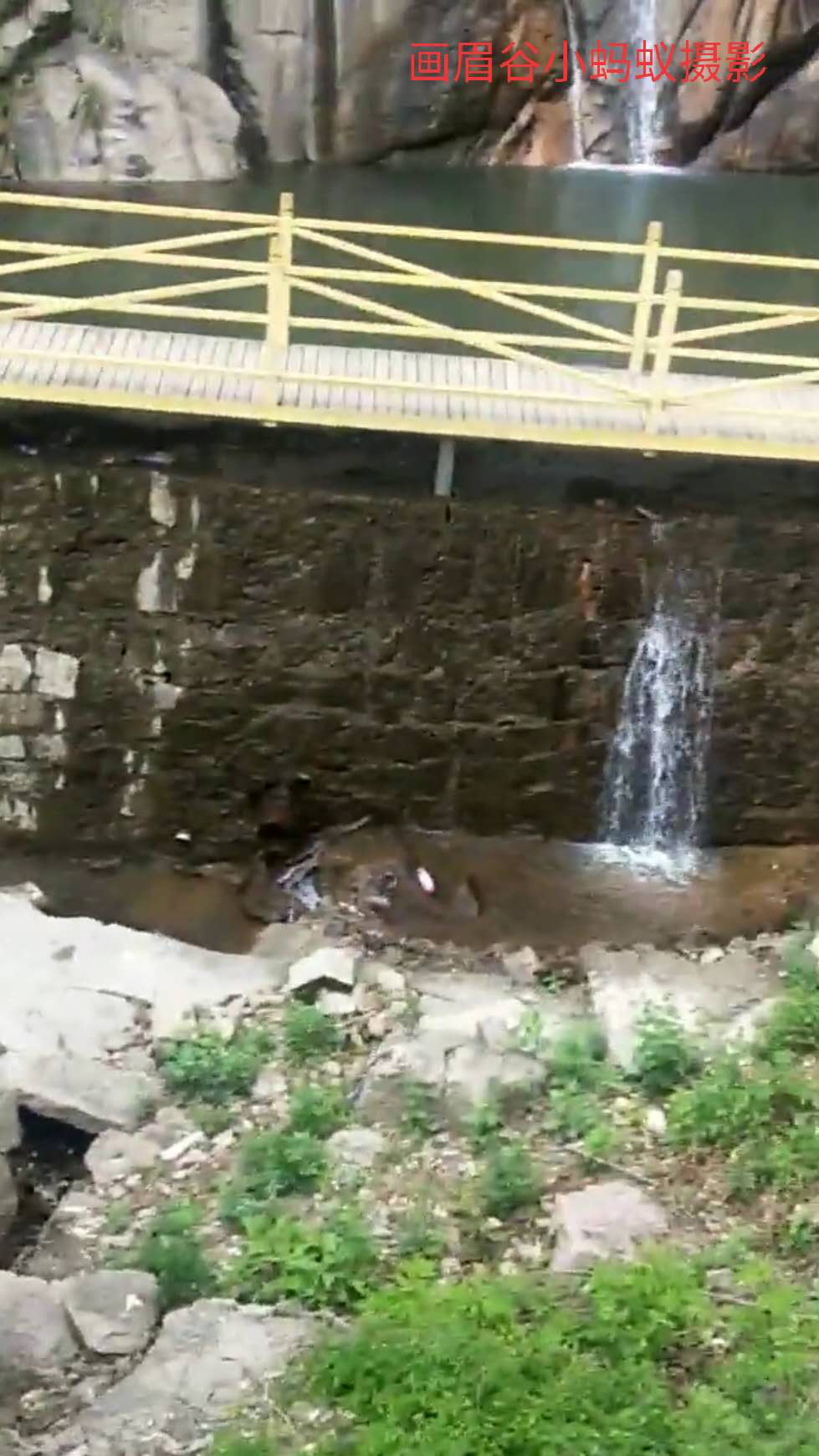 鲁山画眉谷郏县旅游景点推荐,平顶山鲁山风景区旅游攻略