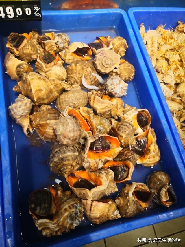 周末北京出发吃海鲜,北京自助游最好去哪儿吃海鲜