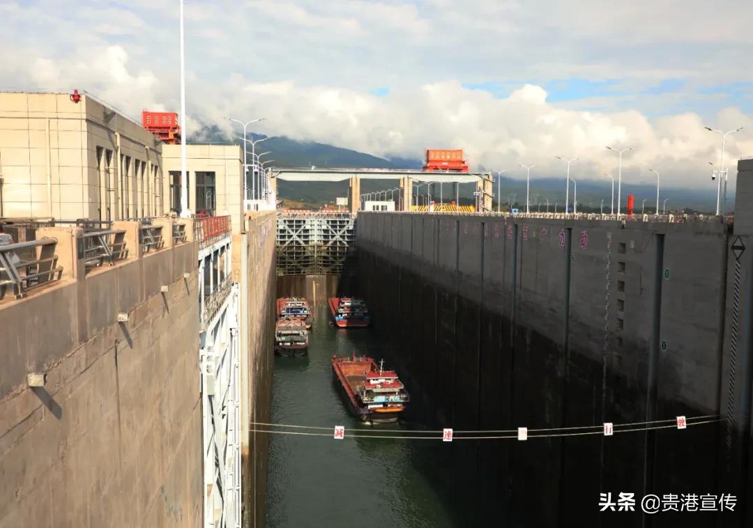 全国电视媒体走进贵港,全国百家媒体相聚巴彦淖尔