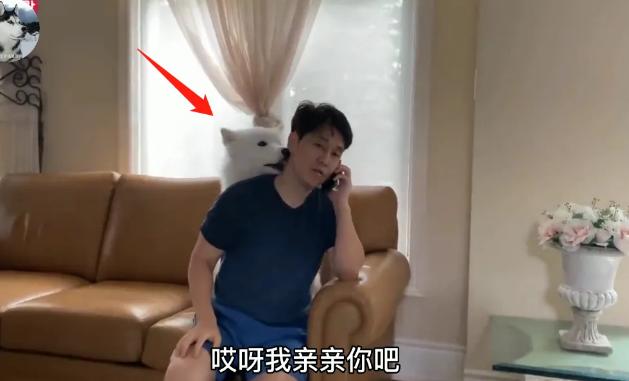 有一只太粘人的狗是什么体验,有一只特别粘人的狗