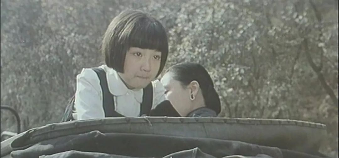 36年前国产动画片,36年前最火的一部国产电影