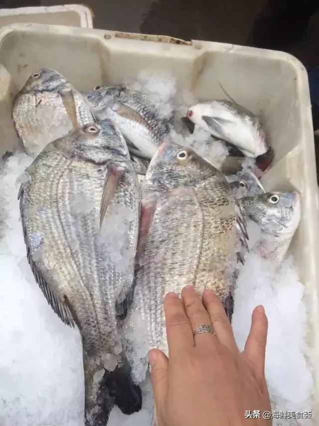 常见的鱼虾蟹等海鲜的认识,虾蟹类海鲜大全