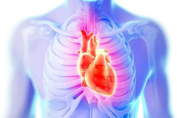 心腔内超声引导射频消融术,山东心脏射频消融术