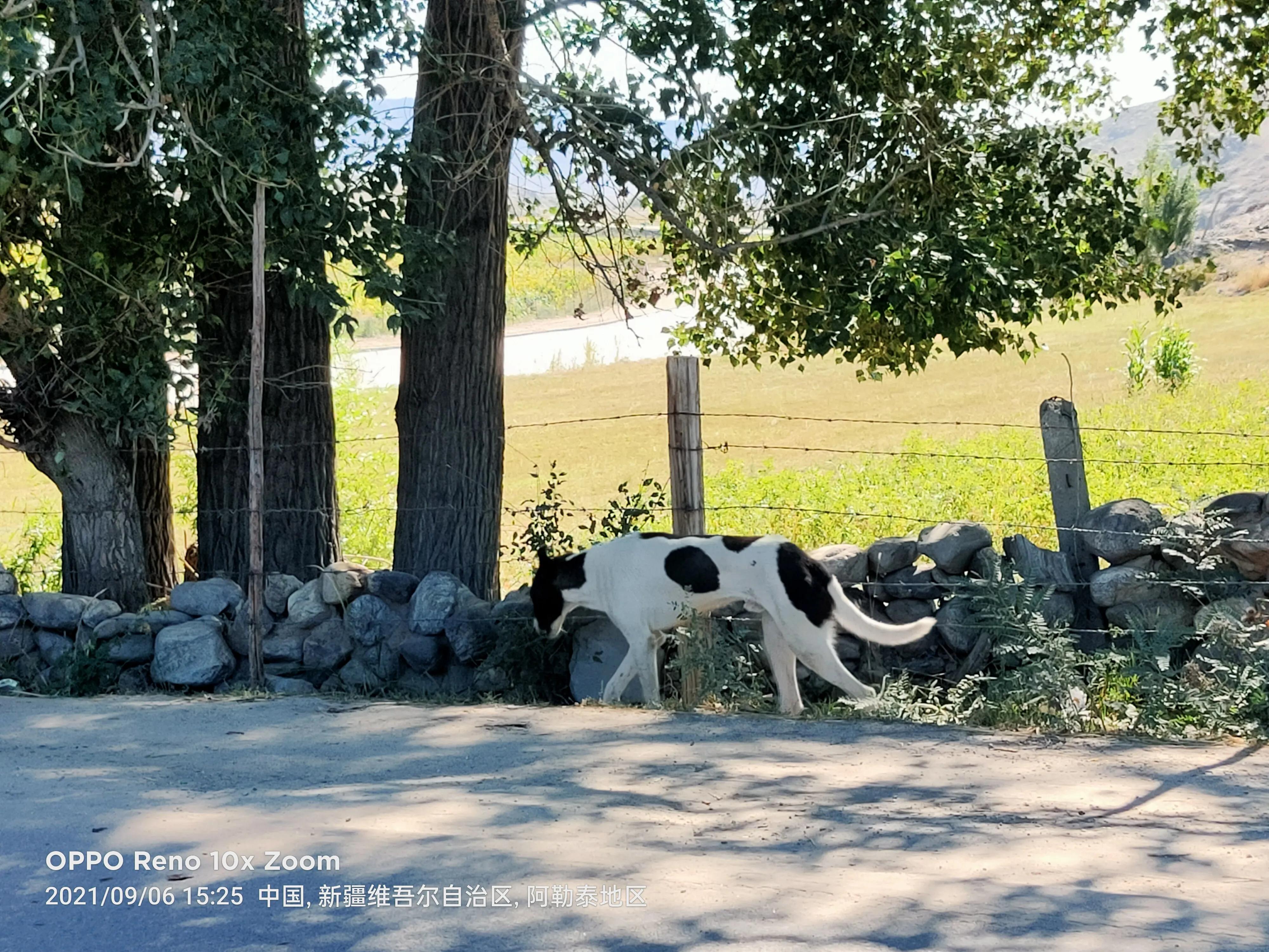 阿木日记,阿木日记终极版