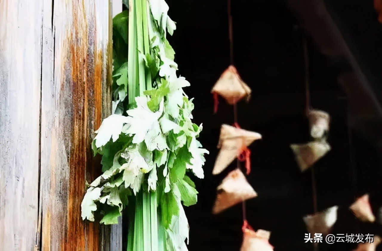 端午节的由来和传统习俗和时间,端午节的由来和习俗文化