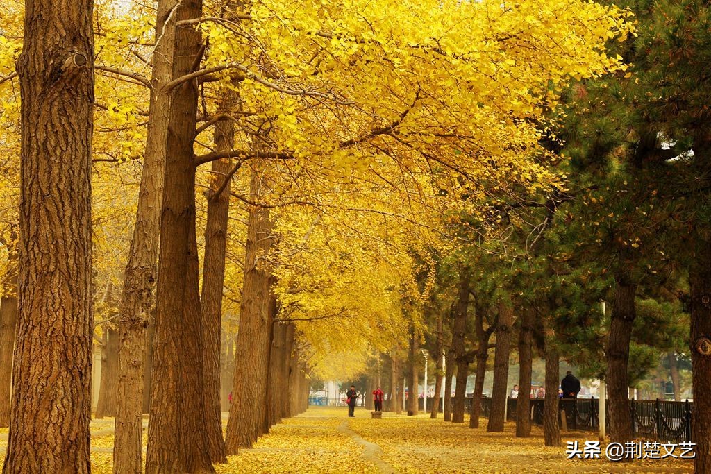 老同学一路走好愿天堂没痛苦,老同学一路走好的哀悼短句子