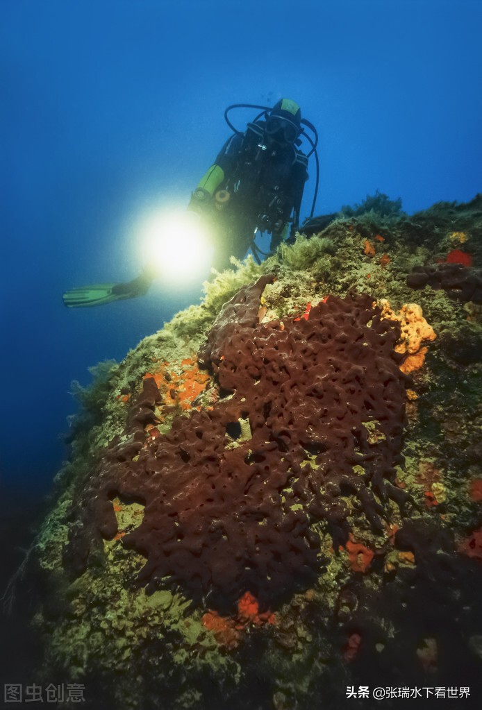 在大海里发现沉船里面有很多宝藏,在海底发现海盗沉船有多开心