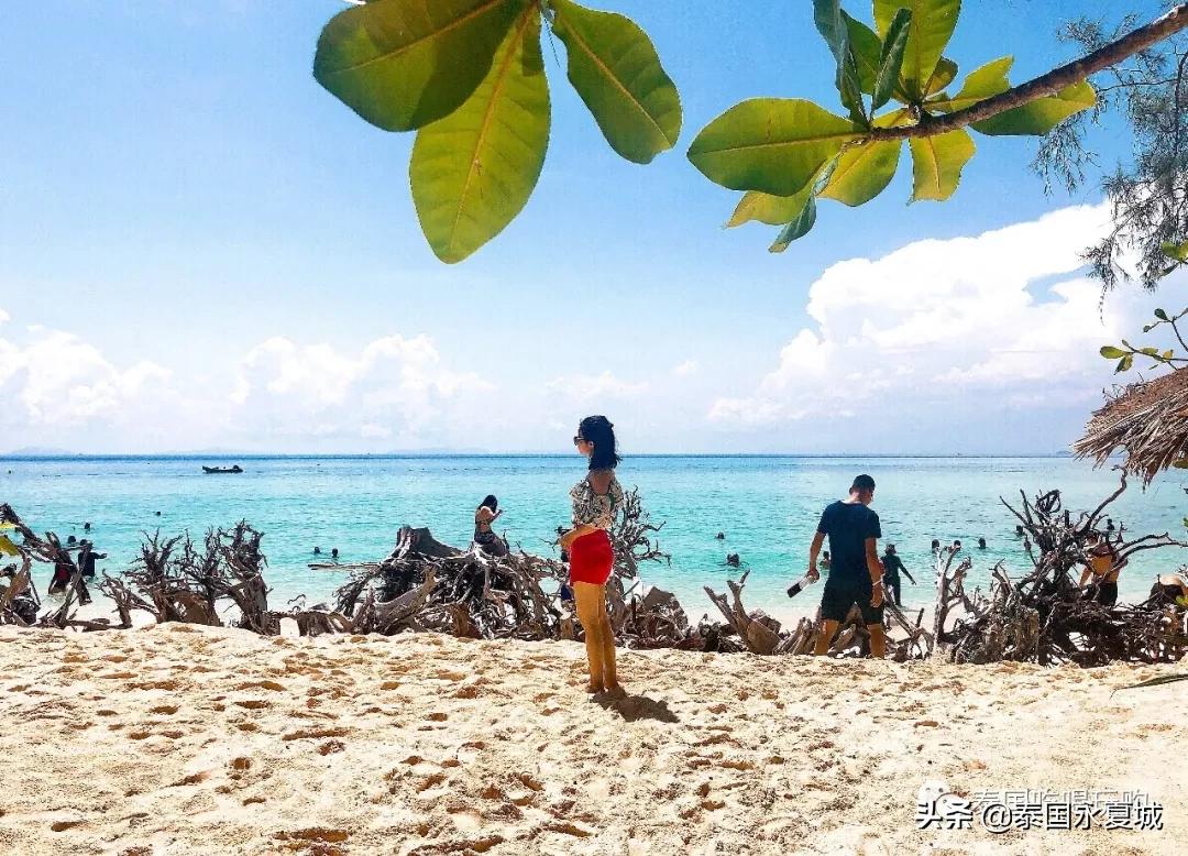 飞去热带的岛屿游泳,飞去热带的岛屿潜水