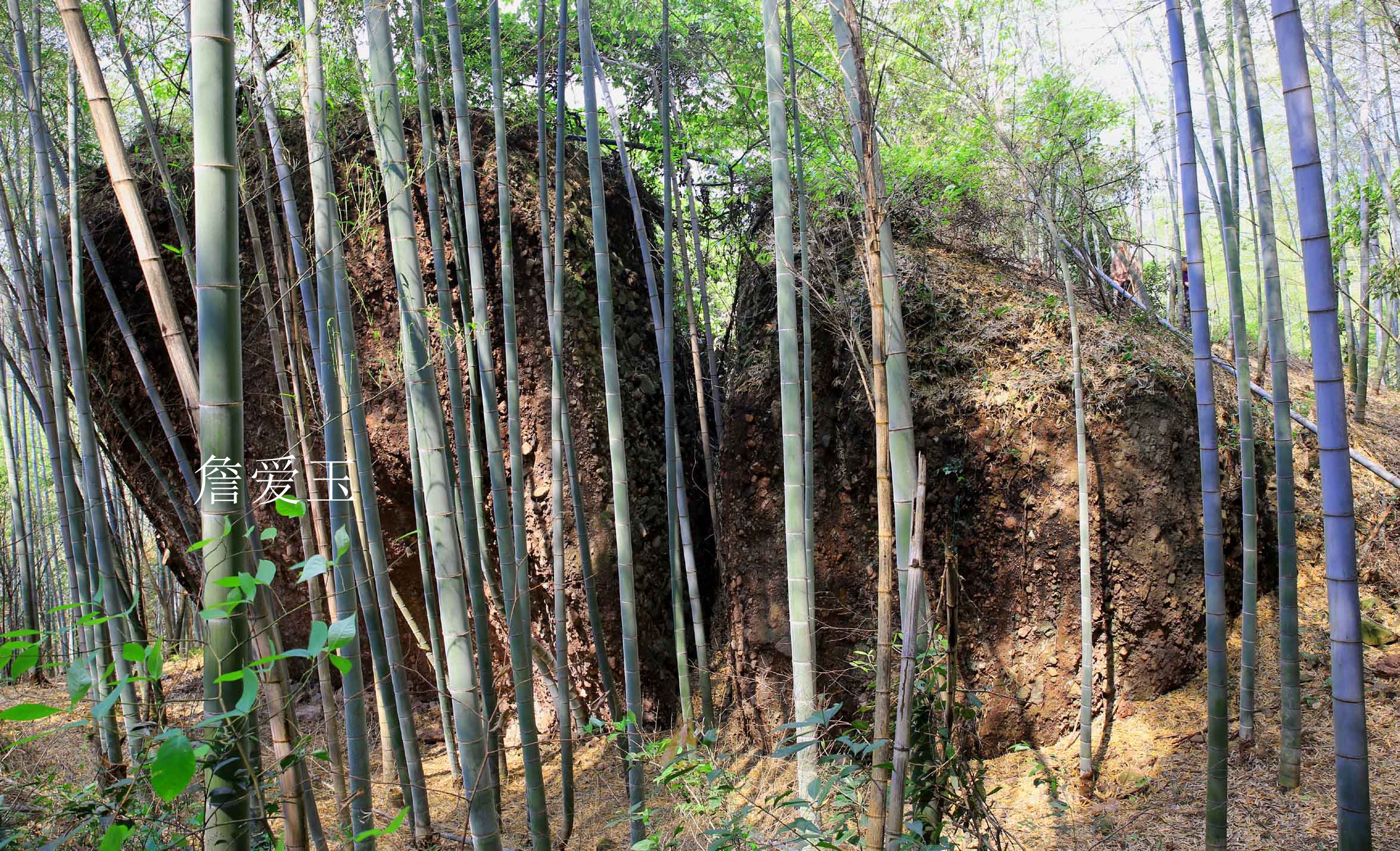 广丰周边一日游旅游景点推荐,广丰五一旅游攻略