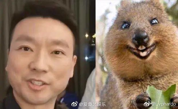 朱广权撒贝宁康辉北京消费季带货,撒贝宁和朱广权央视财经直播