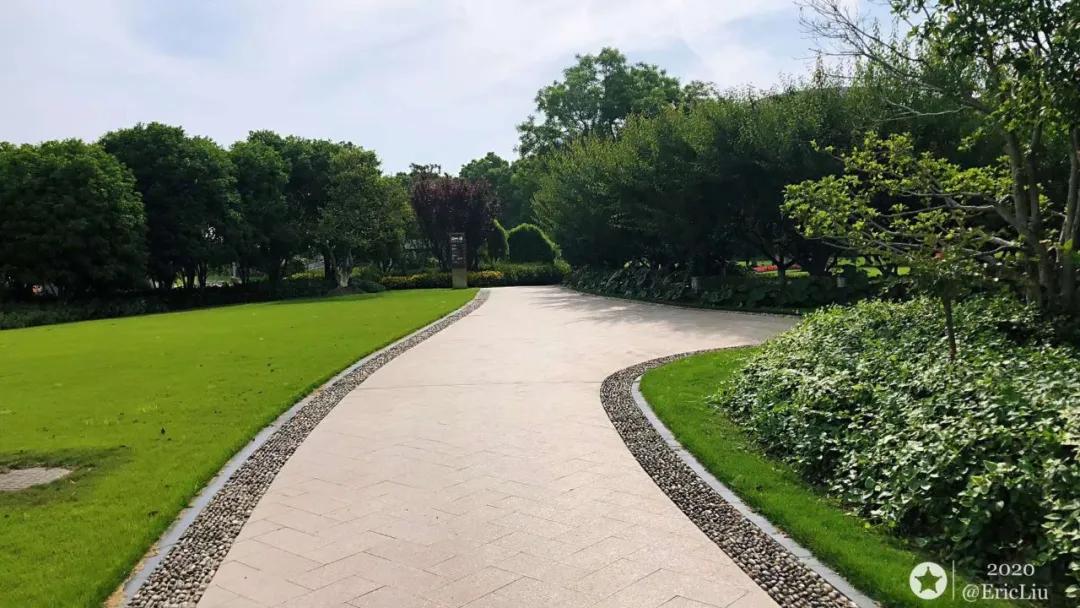 中评协：“中国资产评估师协会”是虚假协会「早间会报20200529」