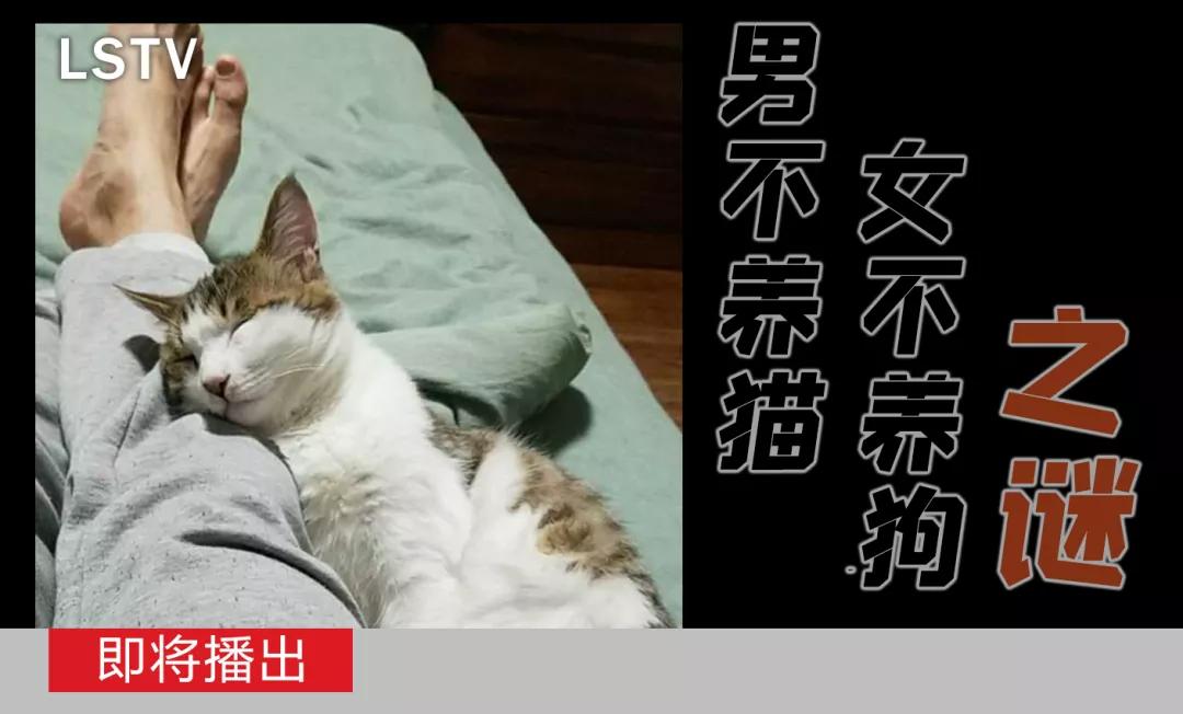 因为爸爸反对家里养狗,奶奶死活不让养狗怎么办