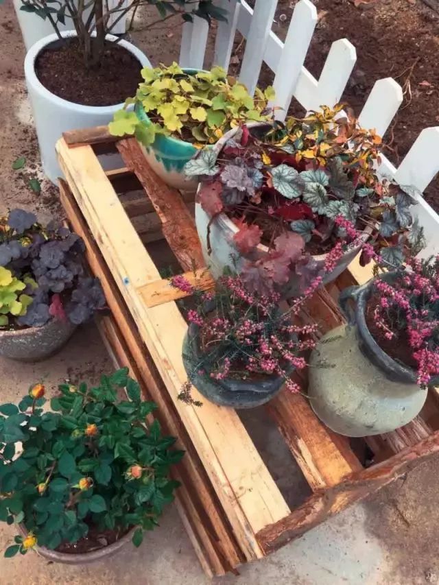 10000块能做点什么,10000块钱能做什么