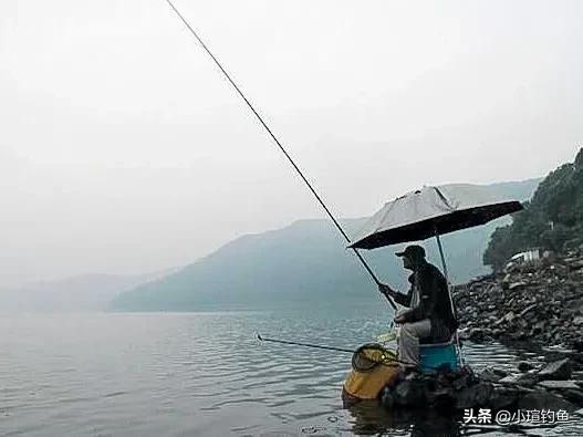 水库野钓选钓点怎么选好,夏季库钓怎样选钓点