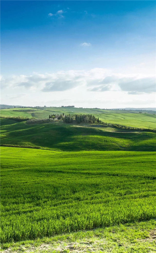 缓解眼睛疲劳壁纸颜色,缓解眼睛疲劳的壁纸高清