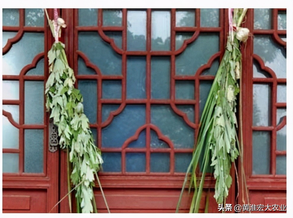 端午节吃蒜的习俗,端午吃大蒜是什么意思