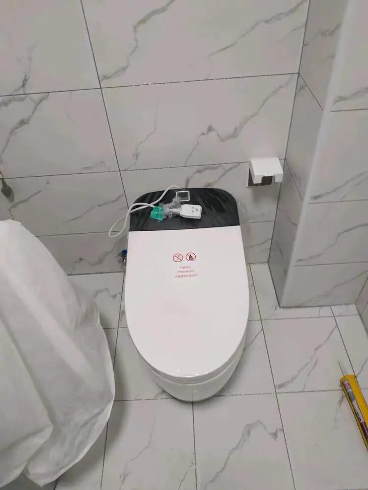 十大品牌智能马桶最新排名,维卫智能马桶是十大品牌吗