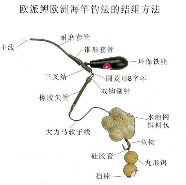 英国钓鲤鱼装备,欧洲钓鲤鱼的方法