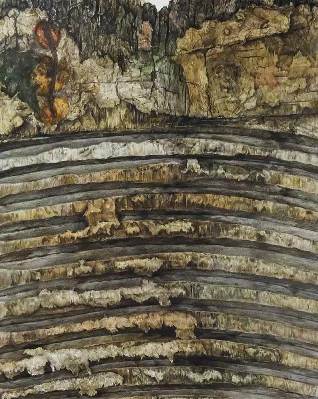 画得比照片还逼真,画得太逼真了怎么形容