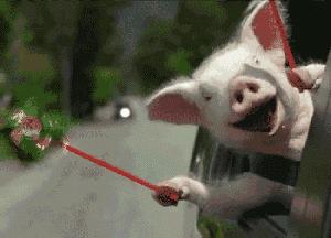 华硕主板刷bios支持nvme的有哪些,技嘉b75主板bios注入nvme驱动教程