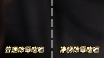 马桶底座发霉,马桶胶发霉怎么清理小妙招