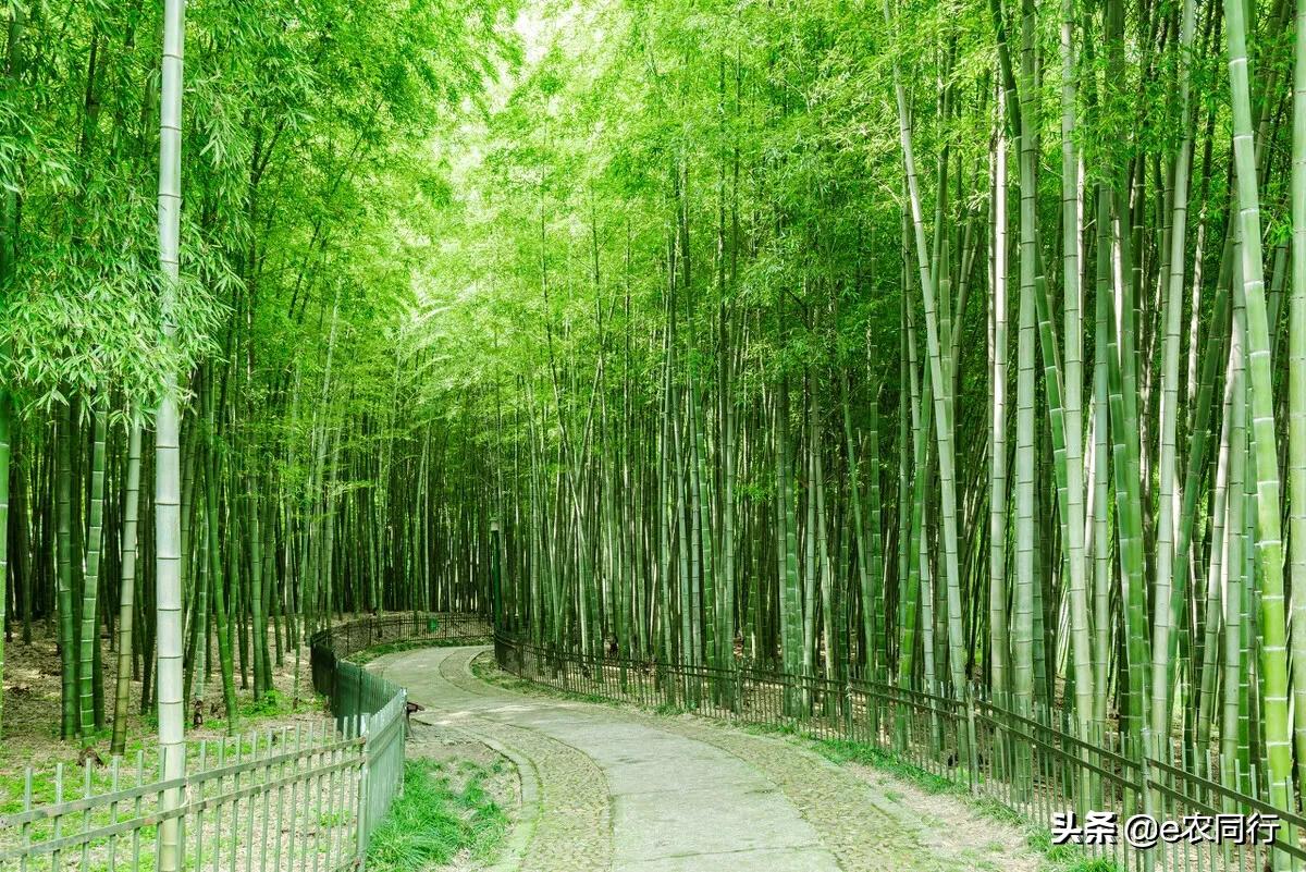 夫妻俩开一家小超市赚钱么,夫妻俩开加工厂最多能挣多少