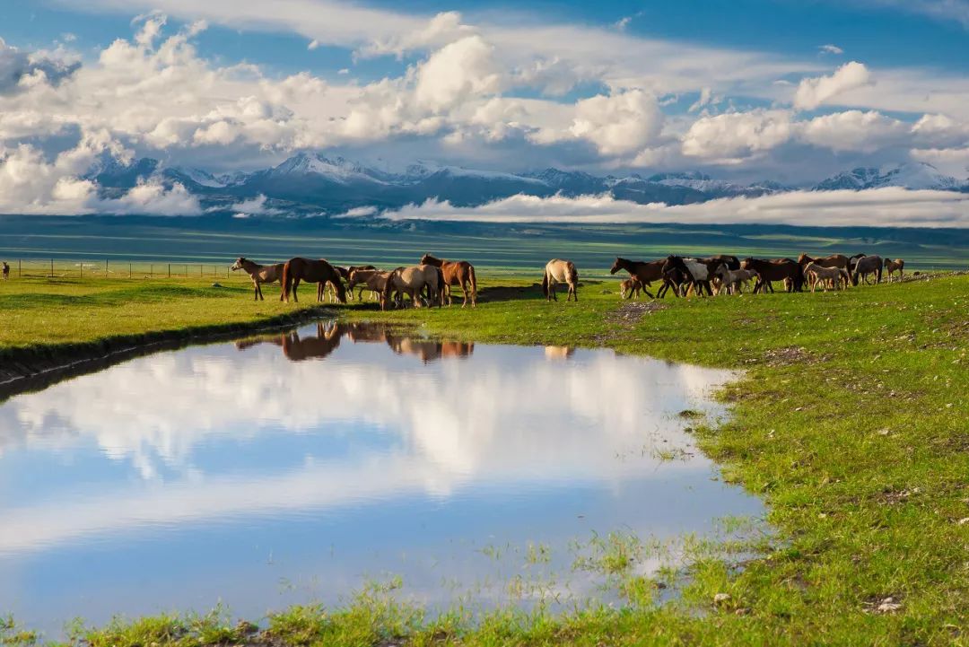 六月的北疆哪些地方值得去,六月的北疆解说